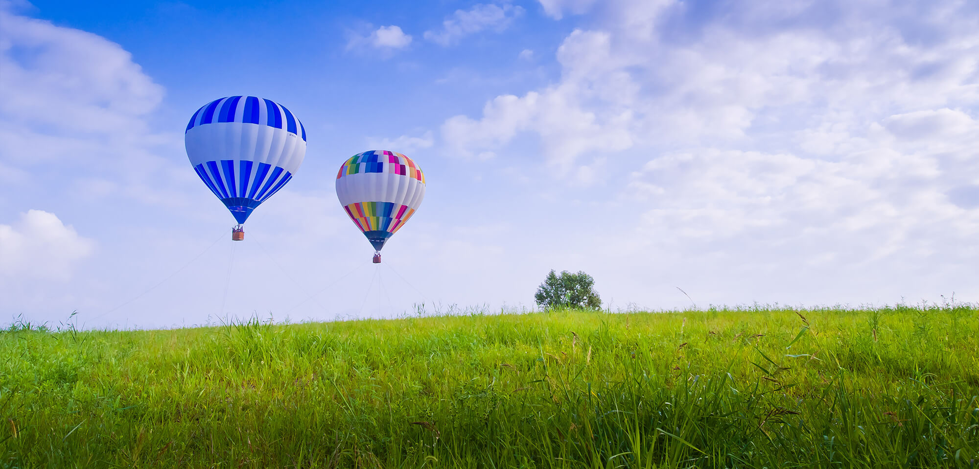 岡野由美子税理士事務所