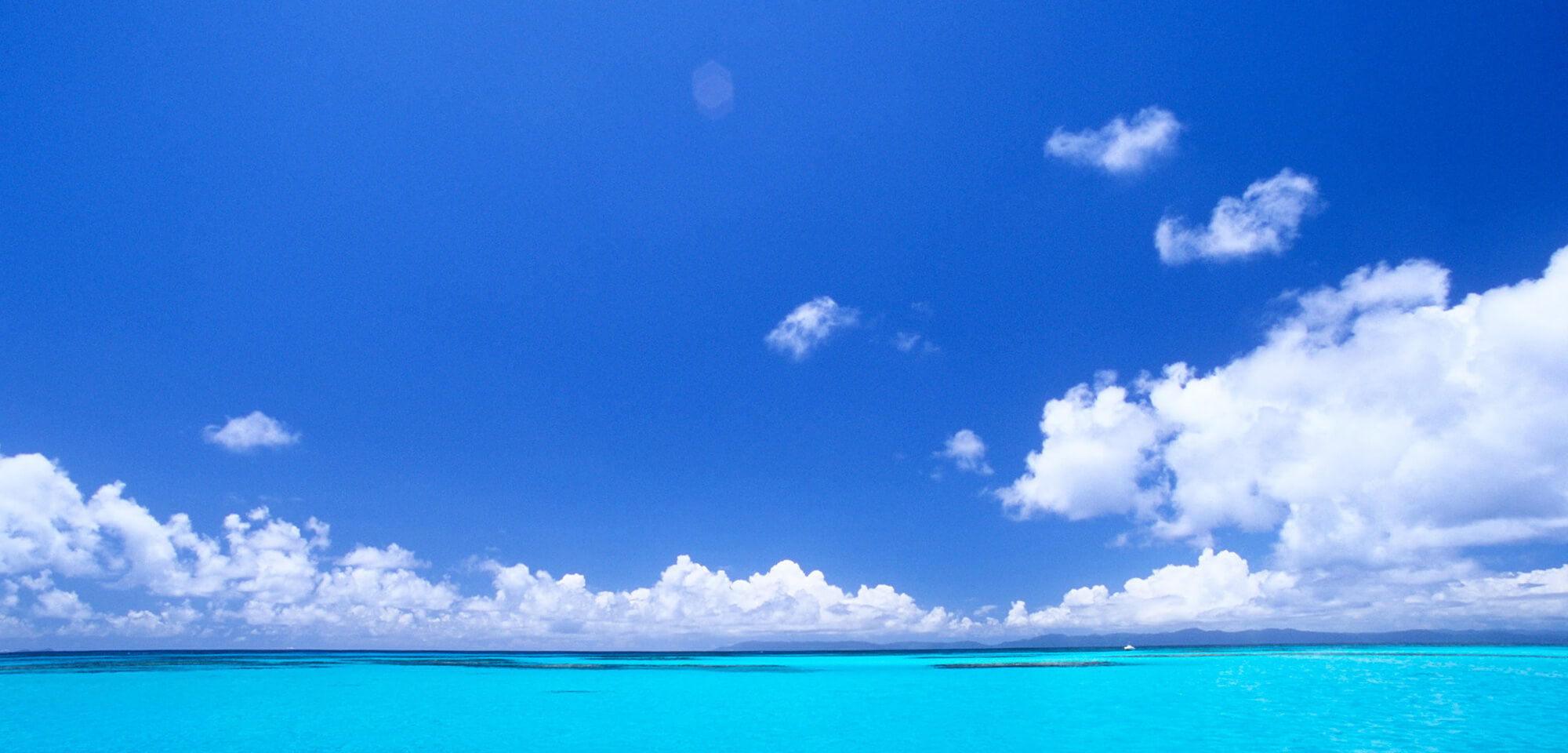 岡野由美子税理士事務所