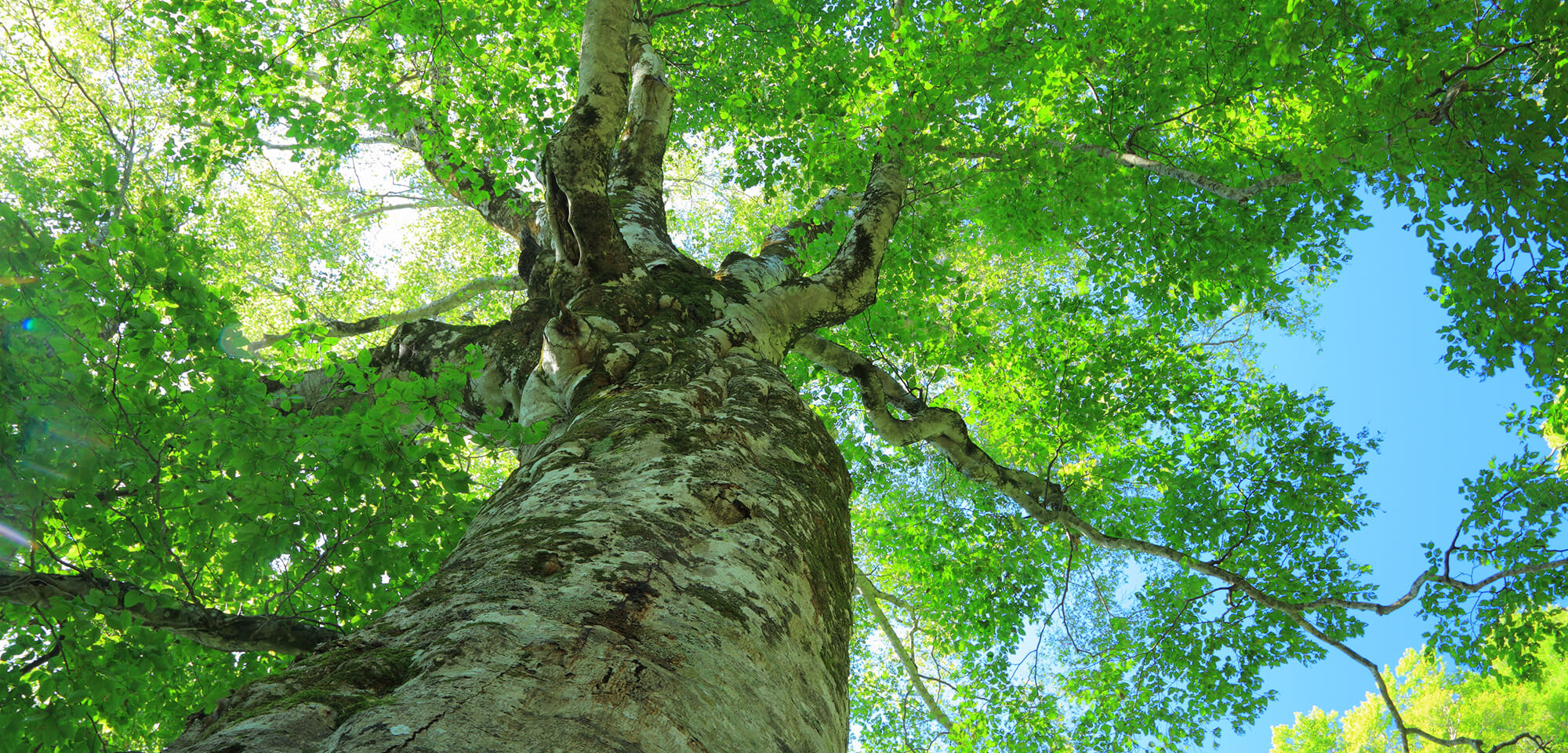 岡野由美子税理士事務所