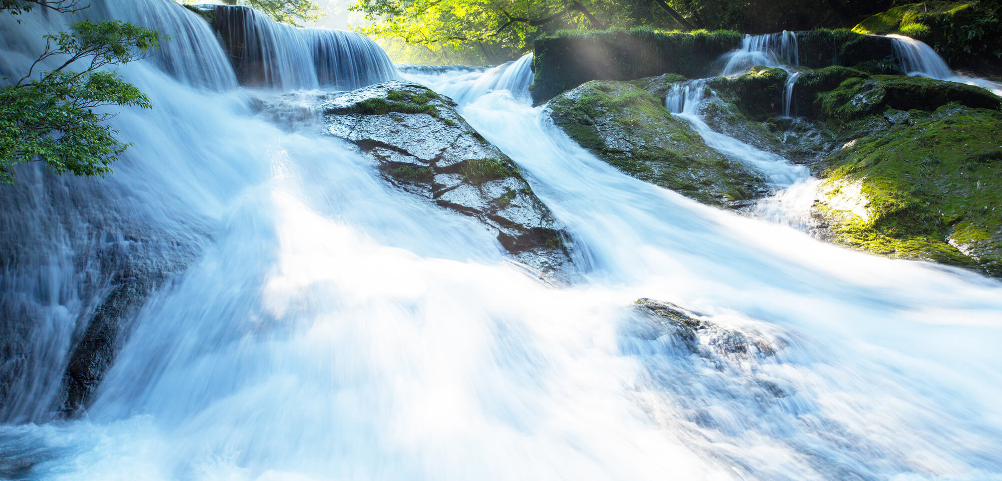 岡野由美子税理士事務所